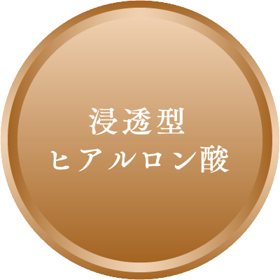 浸透型ヒアルロン酸
